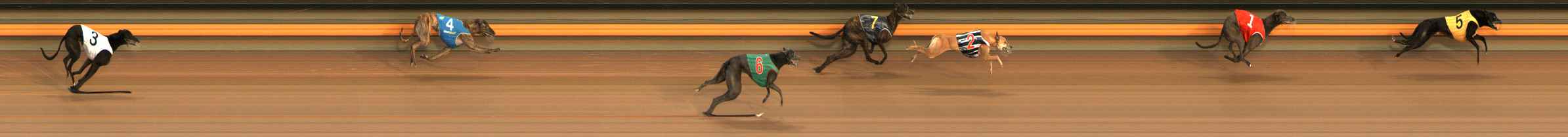 Photo finish for Ballarat Race 4