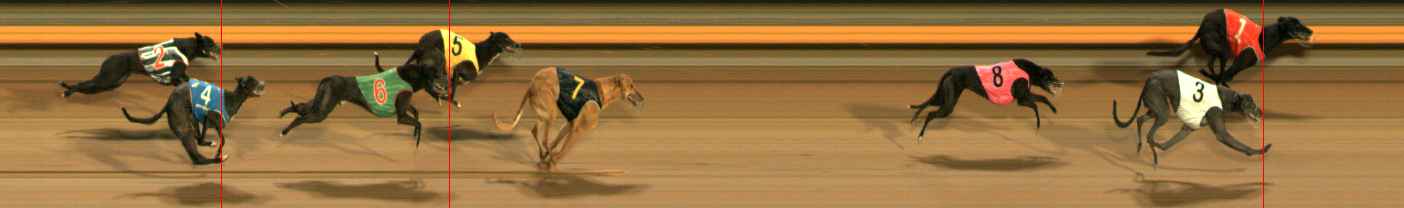 Photo finish for Ballarat Race 8