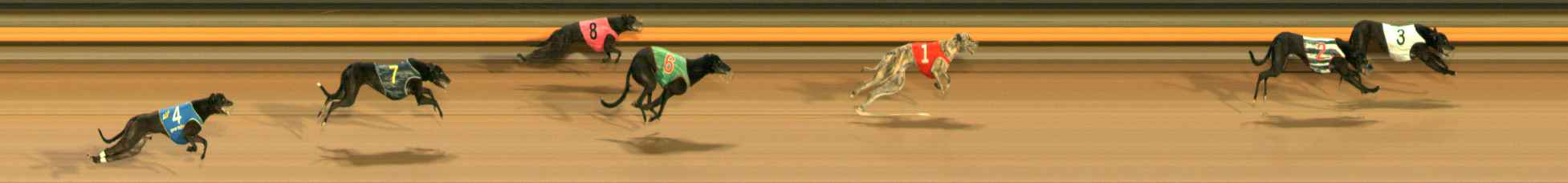 Photo finish for Ballarat Race 9