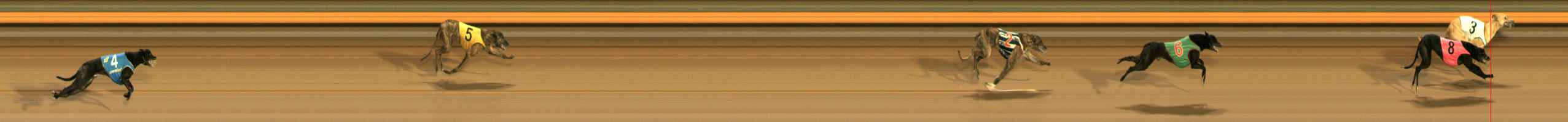 Photo finish for Ballarat Race 12