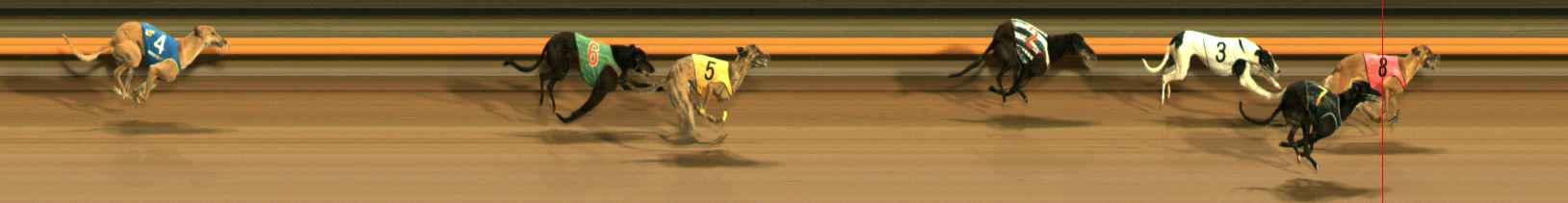 Photo finish for Ballarat Race 13