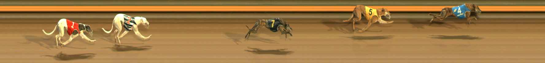 Photo finish for Ballarat Race 14