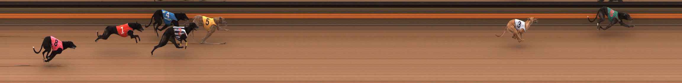 Photo finish for Ballarat Race 2