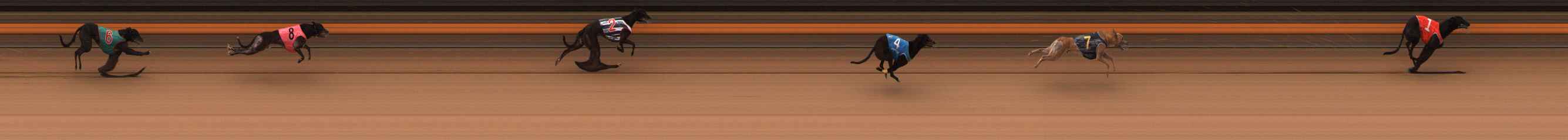 Photo finish for Ballarat Race 3