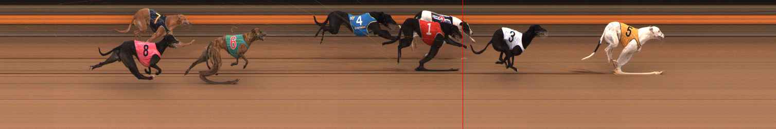 Photo finish for Ballarat Race 4