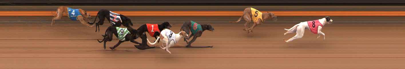 Photo finish for Ballarat Race 5