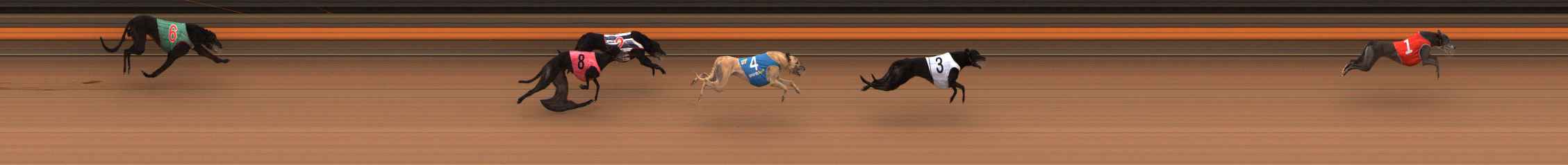 Photo finish for Ballarat Race 6