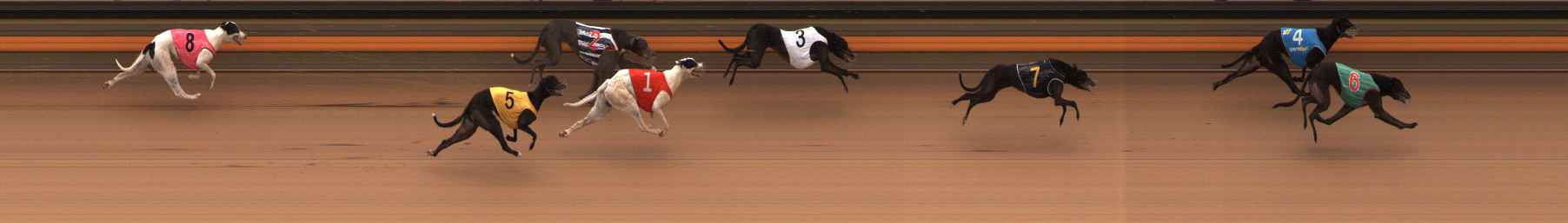Photo finish for Ballarat Race 7