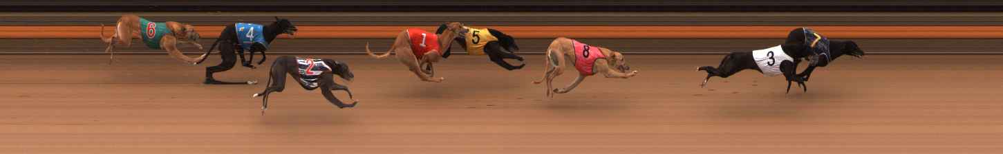 Photo finish for Ballarat Race 8