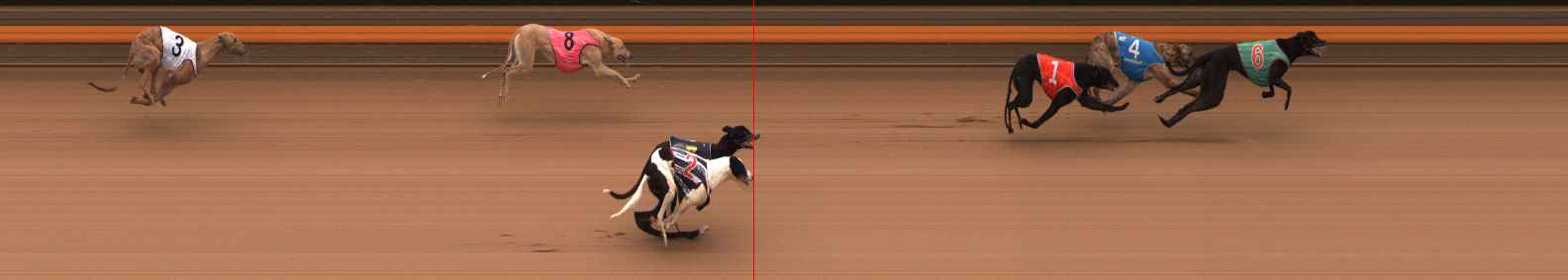 Photo finish for Ballarat Race 9