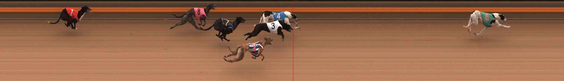 Photo finish for Ballarat Race 10