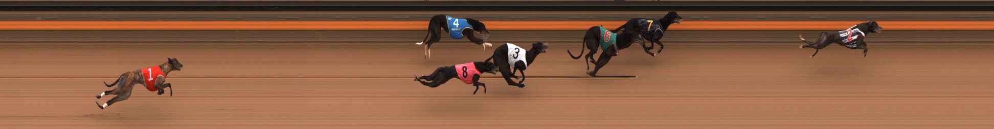Photo finish for Ballarat Race 11