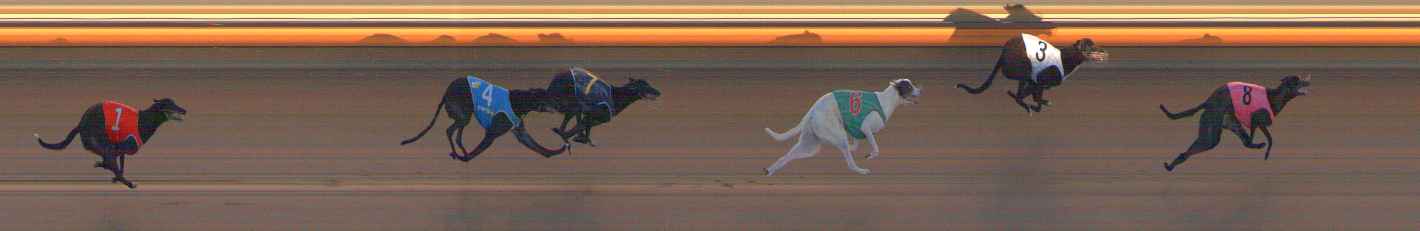 Photo finish for Ballarat Race 3