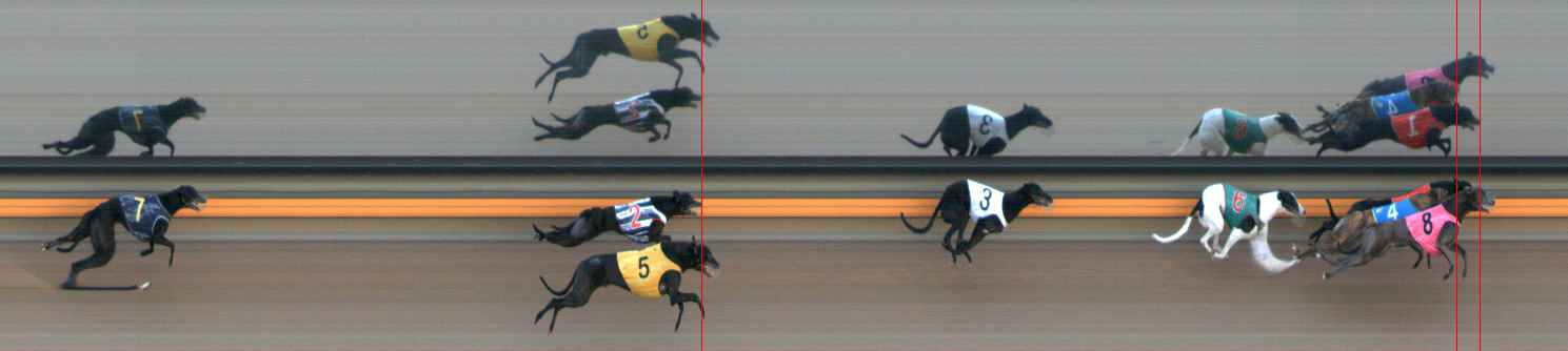 Photo finish for Ballarat Race 5