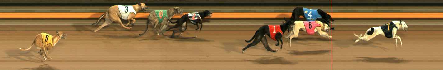Photo finish for Ballarat Race 6