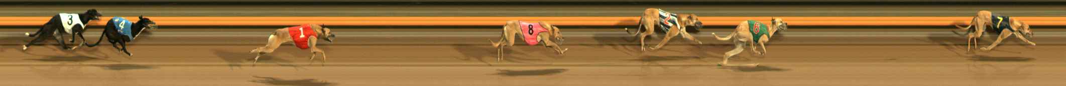 Photo finish for Ballarat Race 7