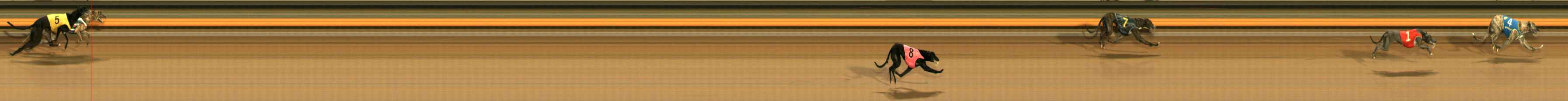Photo finish for Ballarat Race 9
