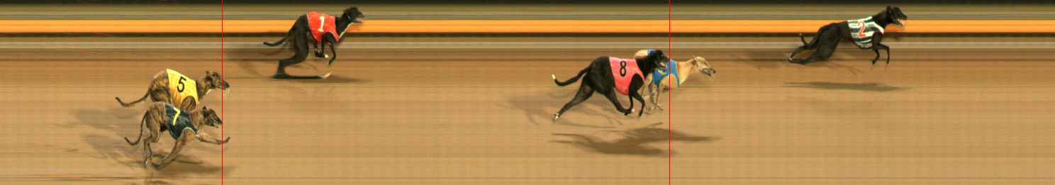 Photo finish for Ballarat Race 10