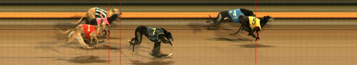 Photo finish for Ballarat Race 11