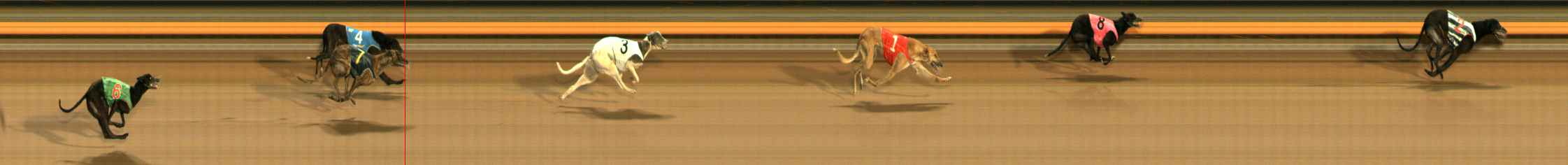 Photo finish for Ballarat Race 13