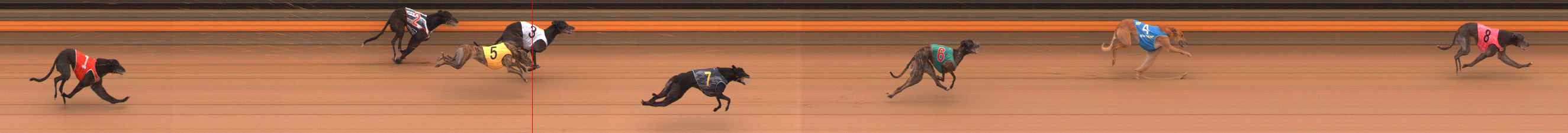 Race result finish photo