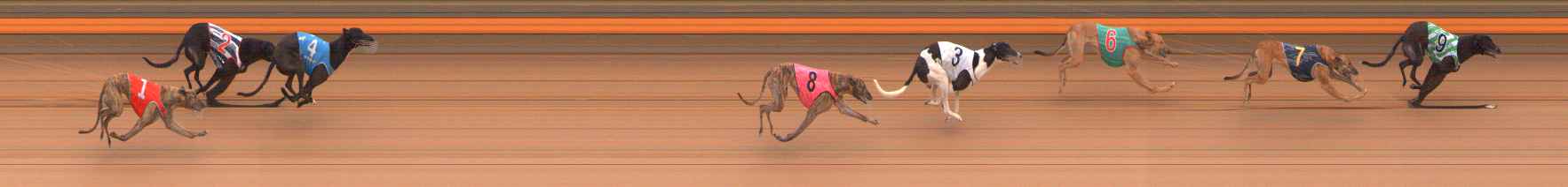 Race result finish photo