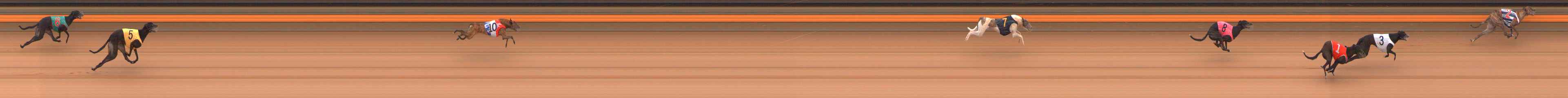 Race result finish photo