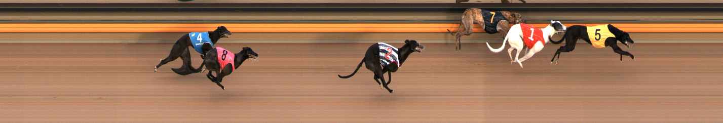Photo finish for Ballarat Race 2
