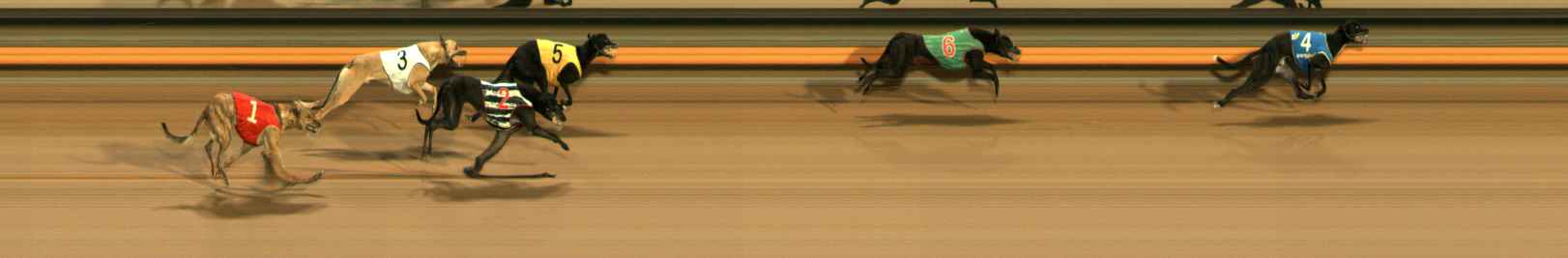 Photo finish for Ballarat Race 7