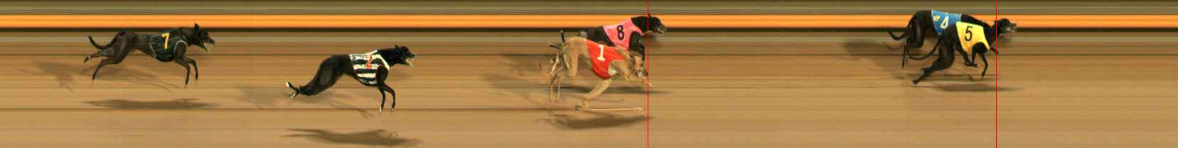 Photo finish for Ballarat Race 9