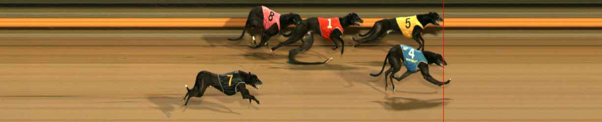 Photo finish for Ballarat Race 10
