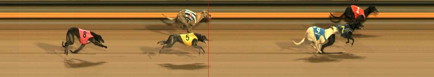 Photo finish for Ballarat Race 11