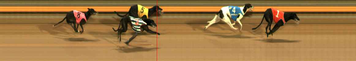 Photo finish for Ballarat Race 12