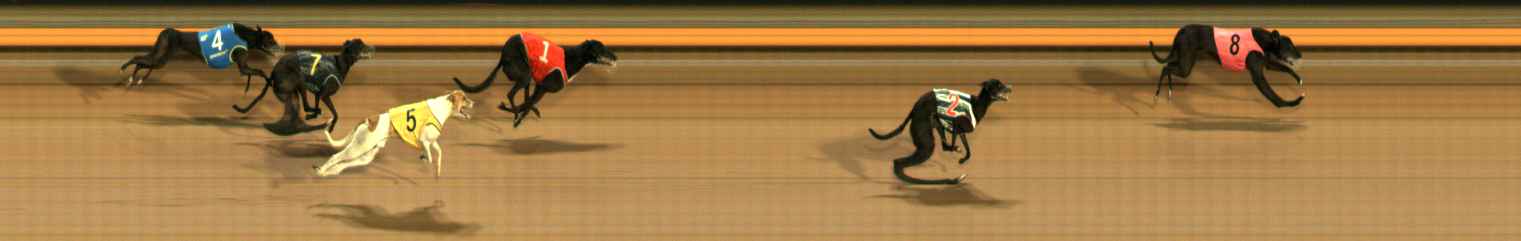Photo finish for Ballarat Race 13