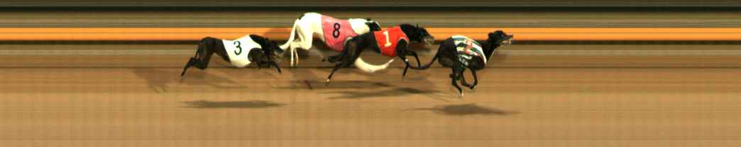 Photo finish for Ballarat Race 14