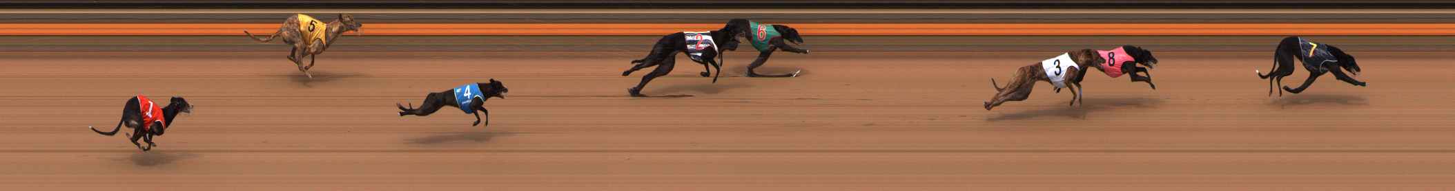 Photo finish for Ballarat Race 1