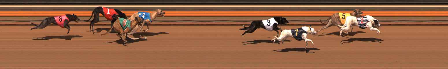 Photo finish for Ballarat Race 2
