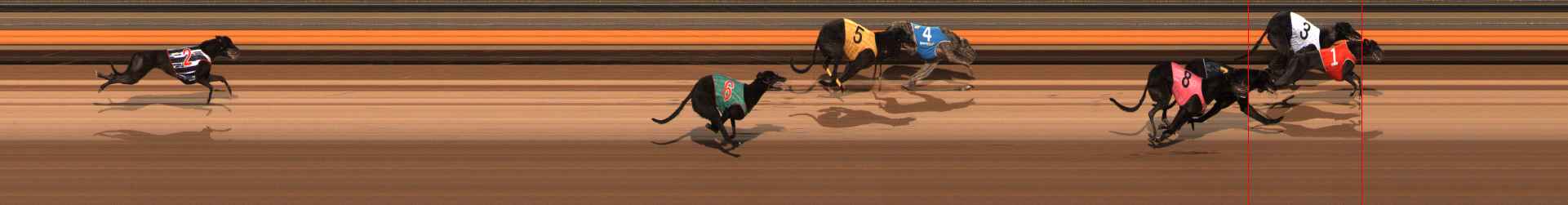 Photo finish for Ballarat Race 6