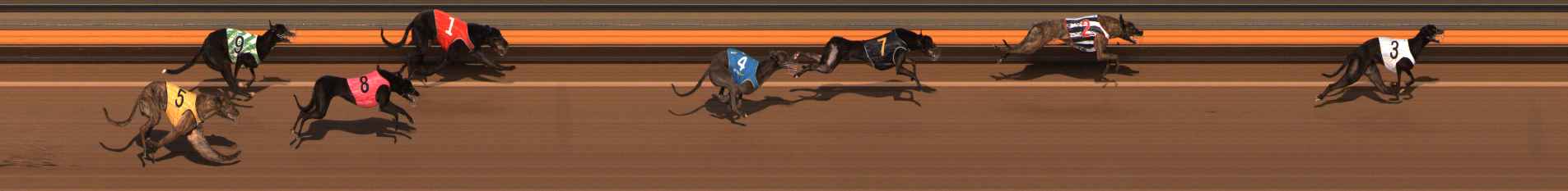 Photo finish for Ballarat Race 7