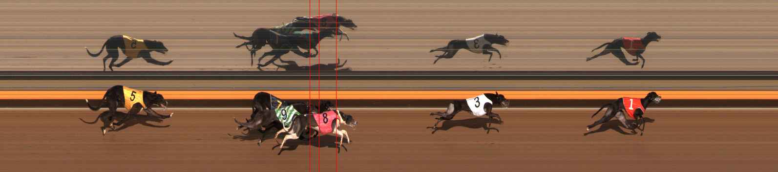 Photo finish for Ballarat Race 8