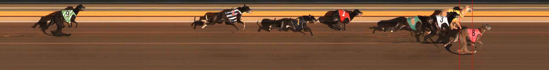 Photo finish for Ballarat Race 12