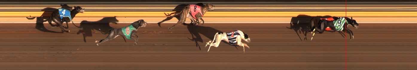 Photo finish for Ballarat Race 13