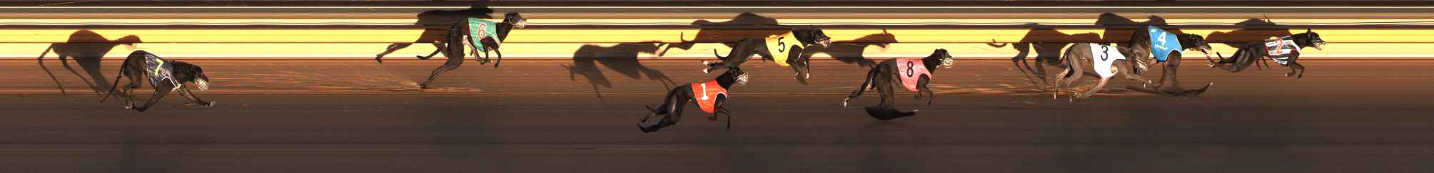 Photo finish for Ballarat Race 14