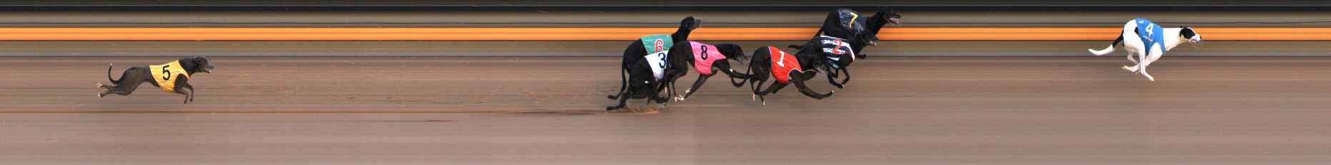 Photo finish for Ballarat Race 1