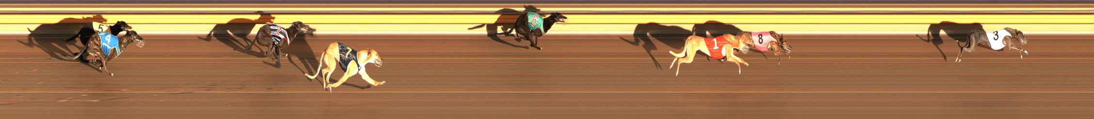 Photo finish for Ballarat Race 3