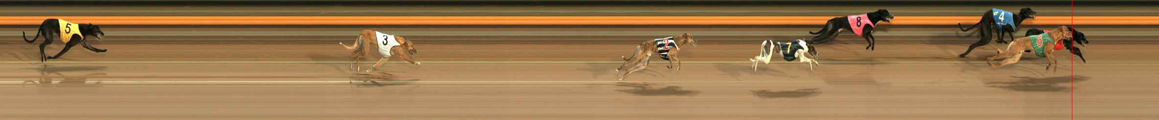 Photo finish for Ballarat Race 6