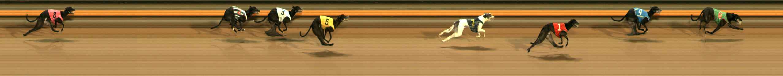 Photo finish for Ballarat Race 8
