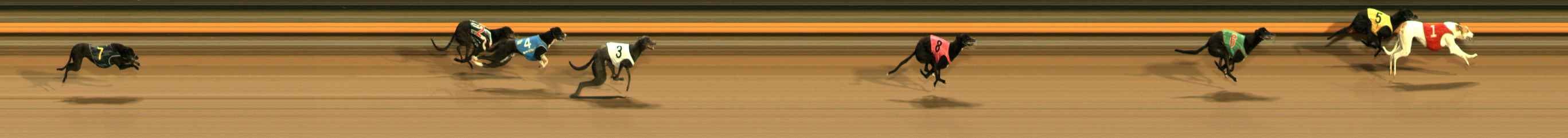 Photo finish for Ballarat Race 9