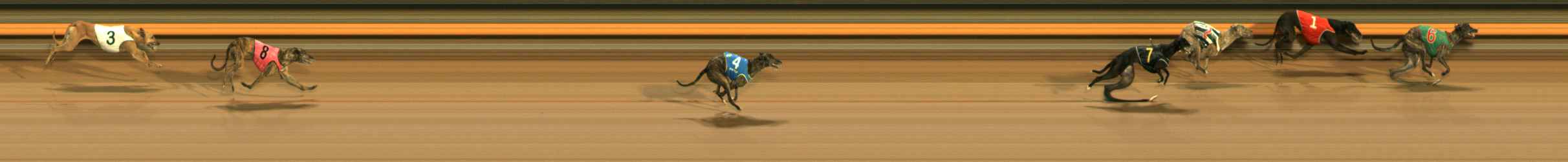 Photo finish for Ballarat Race 10