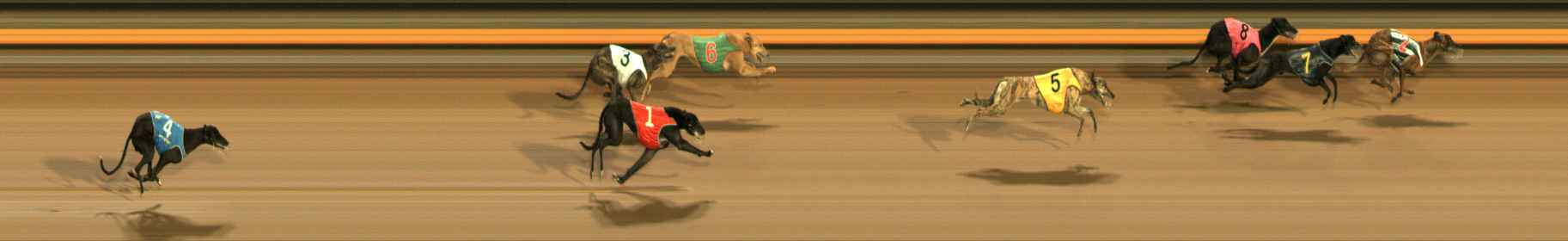 Photo finish for Ballarat Race 12